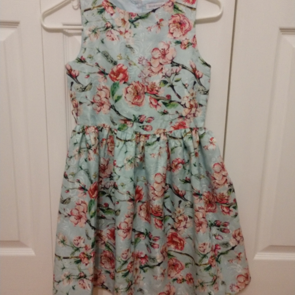 NWOT Girls Bluezoo floral spring dress age 11
